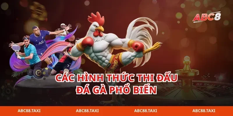 Các hình thức thi đấu đá gà phổ biến
